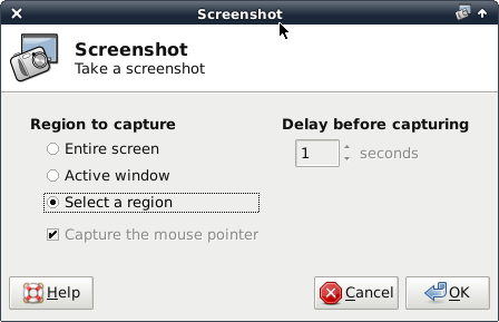 print screen command