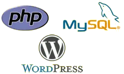 inject php code wordpress