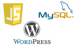 inject javascript code wordpress