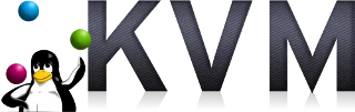 Fix keyboard delay on KVM Windows guest
