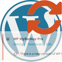 Automatic update for non WordPress hosted plugins
