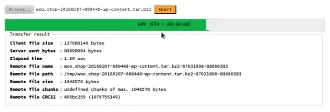 JavaScript chunked upload